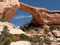 Drink in the canopy of stars in one of the USA's darkest parks.